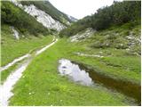 Planina Podvežak - Kocbekov dom na Korošici